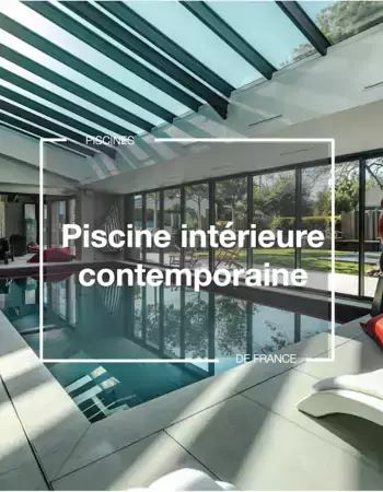 miniature piscine intérieure contemporaine