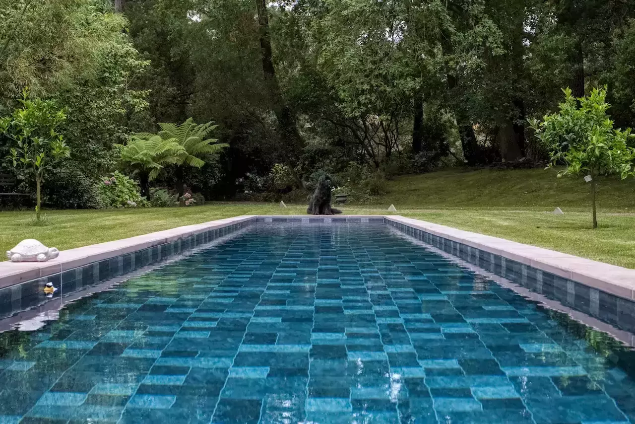 piscine couloir de nage avec un chien noir